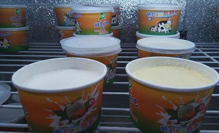 inner yogurt making process
