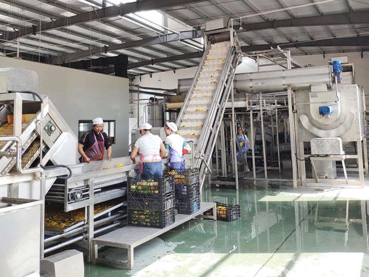 large mango juice processing plant