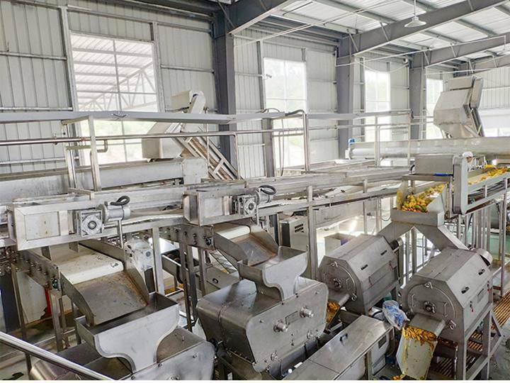 mango pulp production line in Singapore