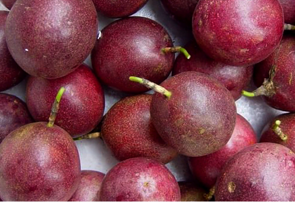 passion fruit for juicing