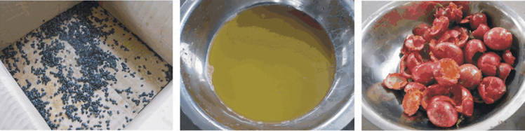 passion fruit juice making effect