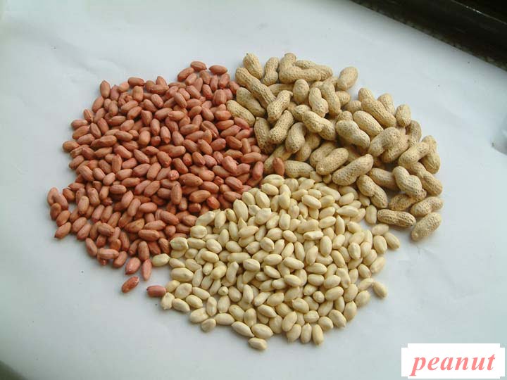 peanut for making butter