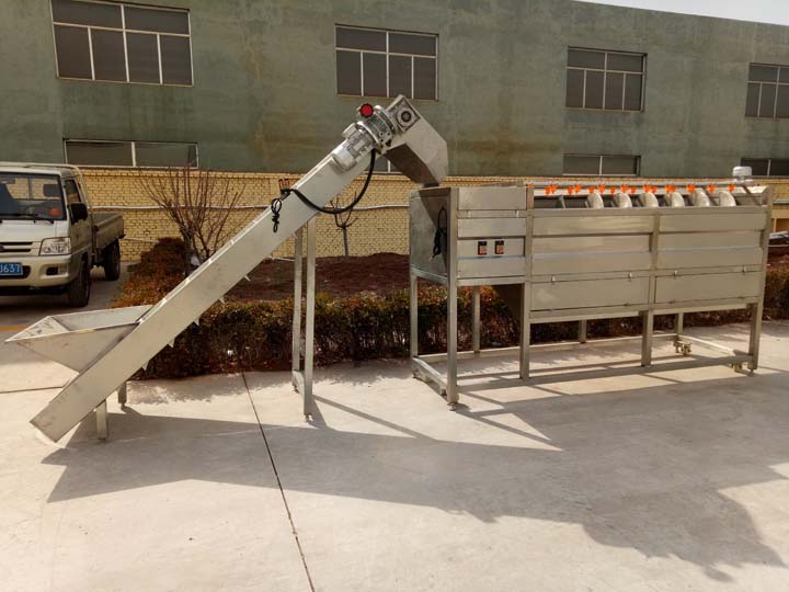 potato processing machine