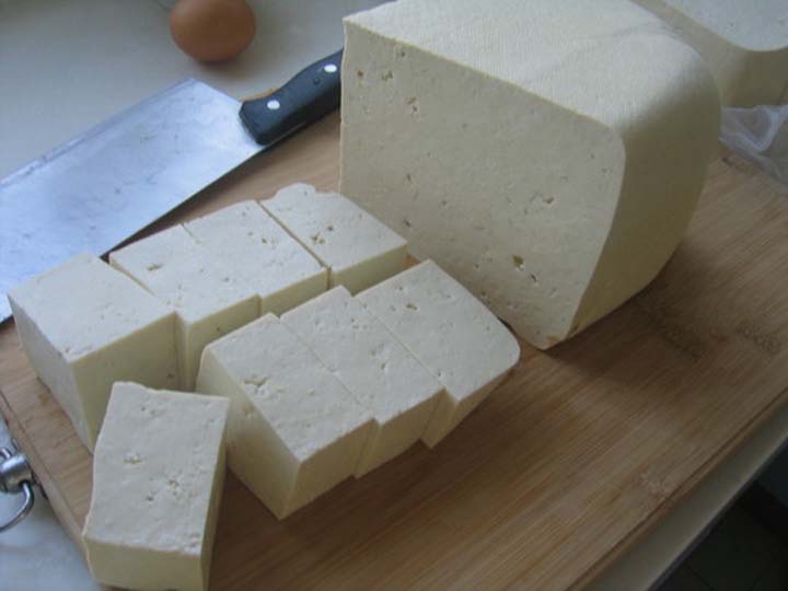 tofu maker