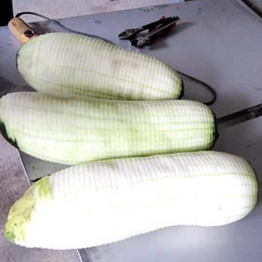 Wax gourd peeling